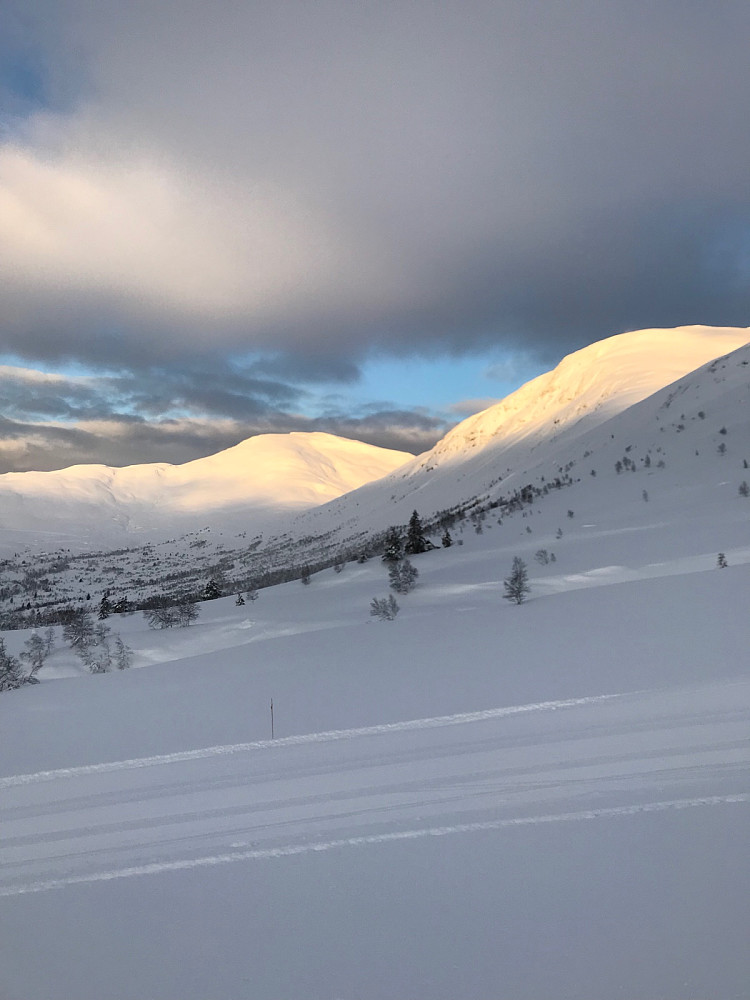 Karifjellet