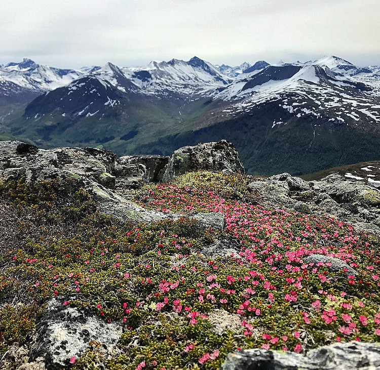 Herlig utsikt til Kjøvskarstind, Kyrkjetaket og Klauva