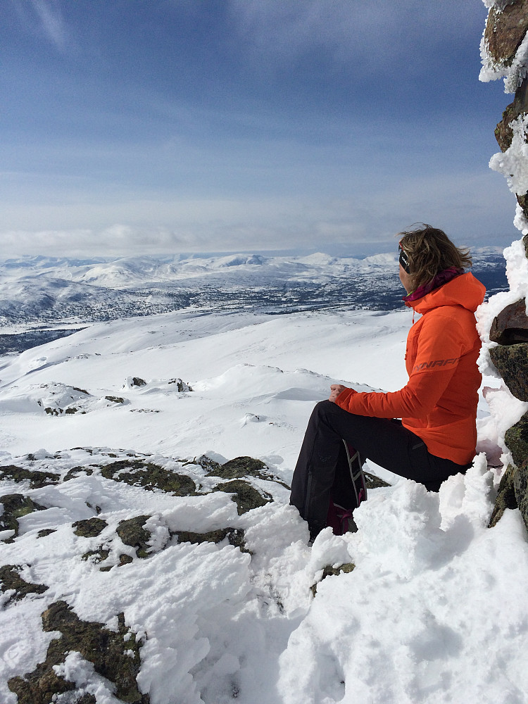 Fin utsikt til fjella i Trollheimen