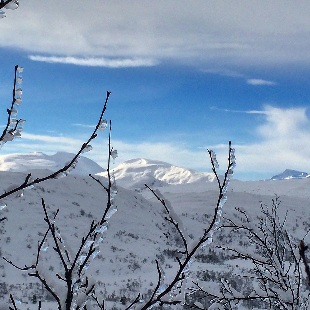 Flott skue til fjella i Trollheimen.
Trollhetta, Rinnhatten og Snota