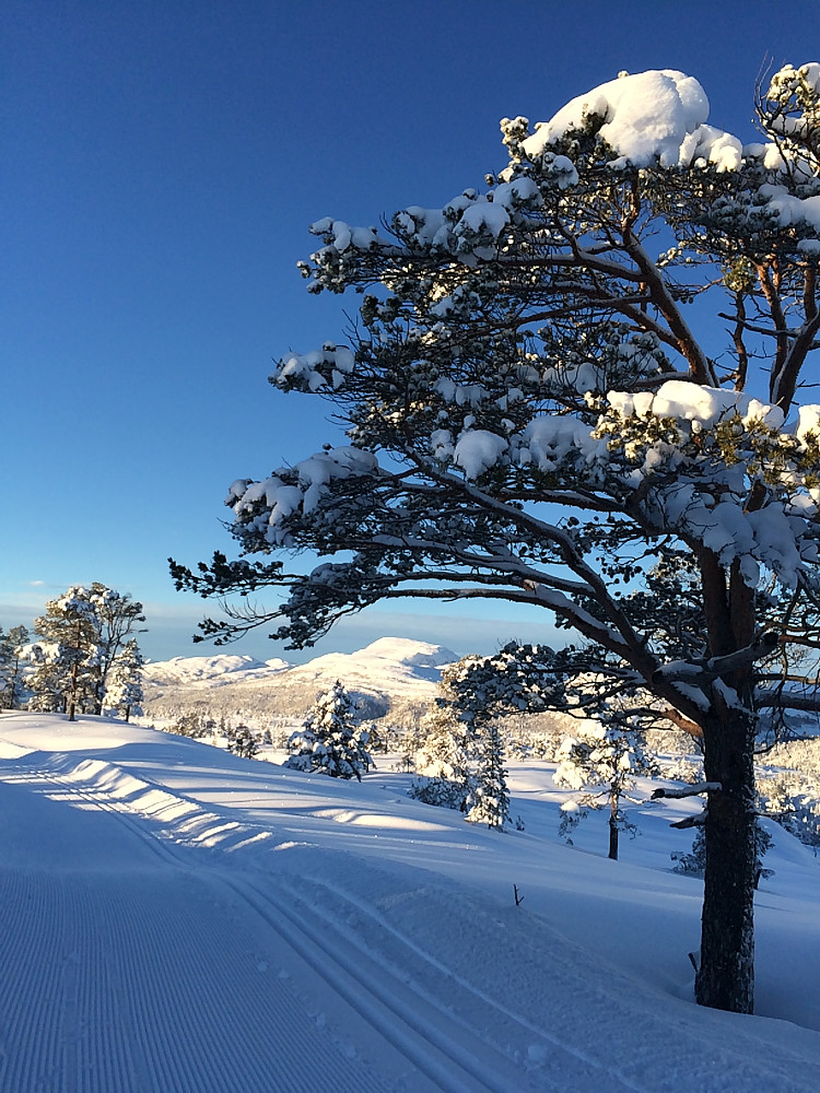 Svak januarsol på Hjelmen
