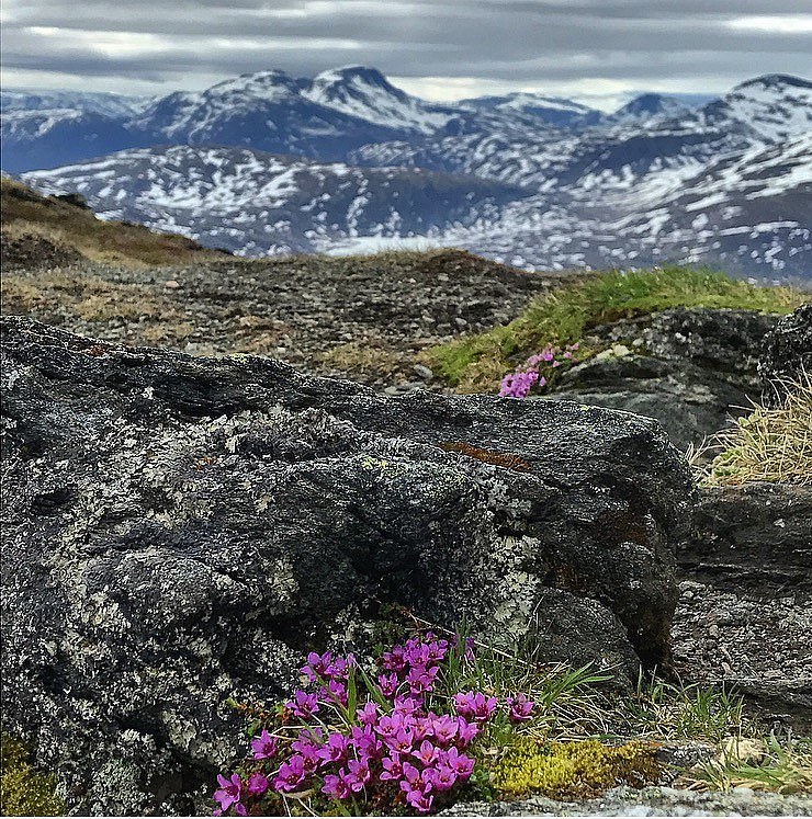 Fin utsikt til Snota