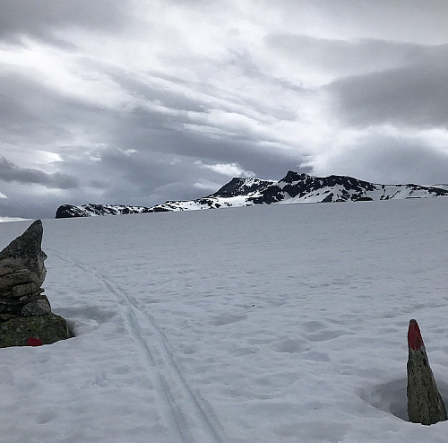 Litt grått på tur ned.
Fint skiføre.