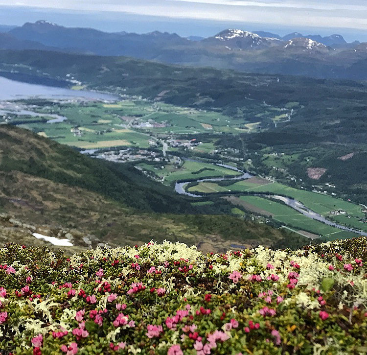 Sommer i Surnadal