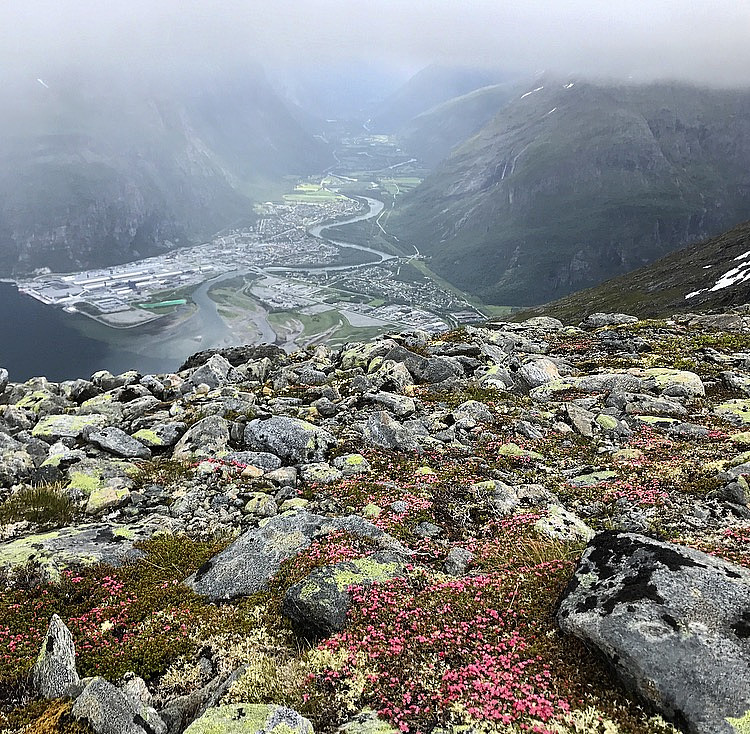 Sunndalsøra