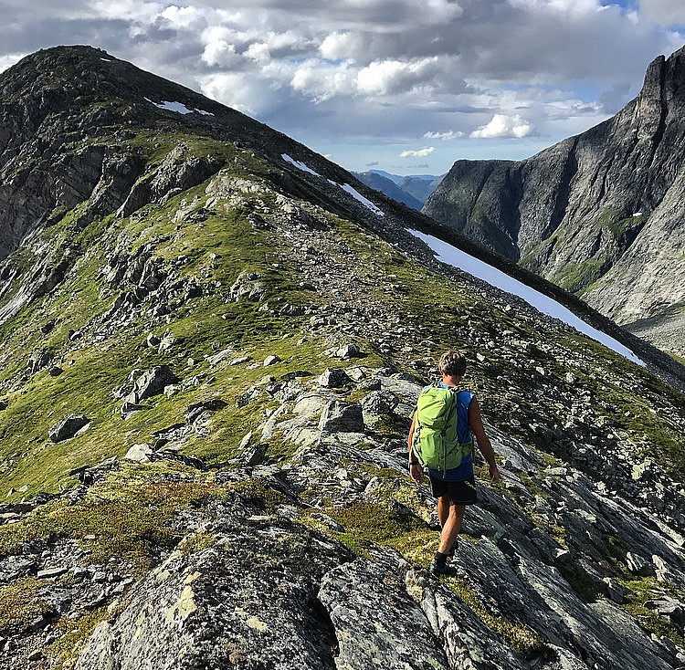 Vikehaugen