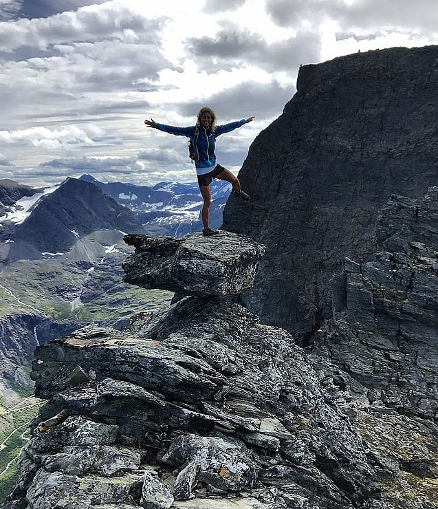 Vippesteinen