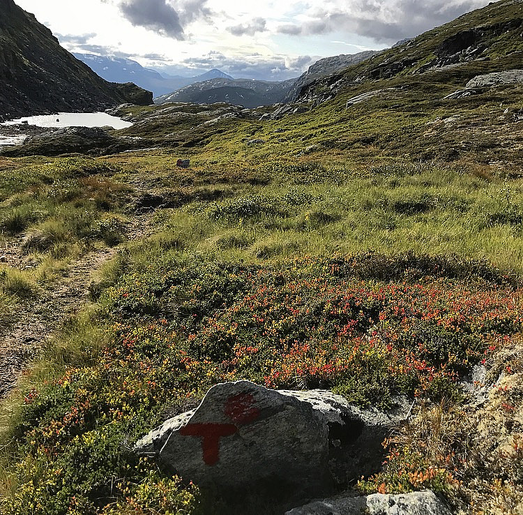 Mot Todalen