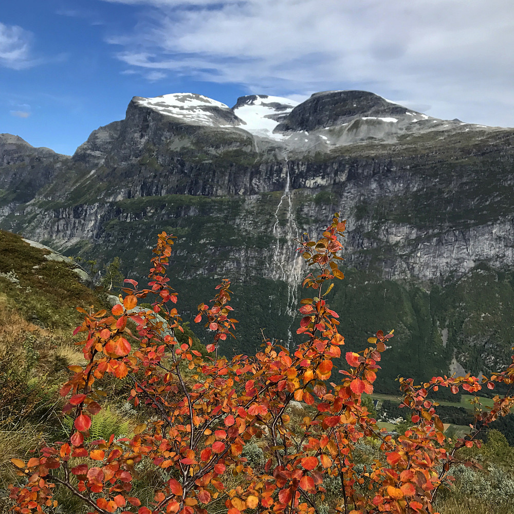 Høst i fjellet...
Furunebba & Kongskrona