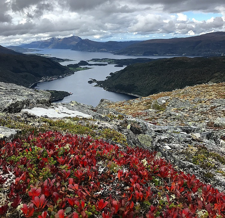 Møkkelfjellet