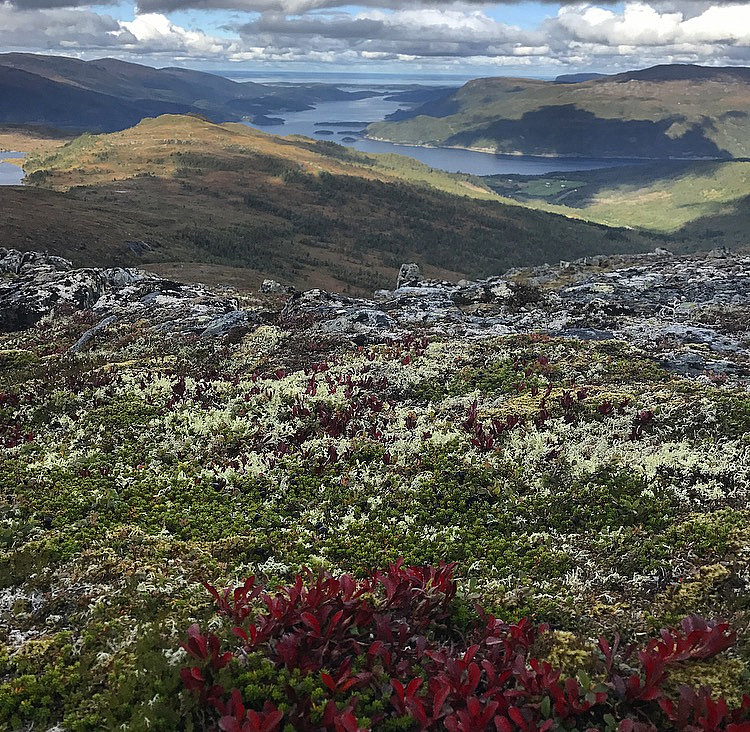 På tur opp på Steinfjellet