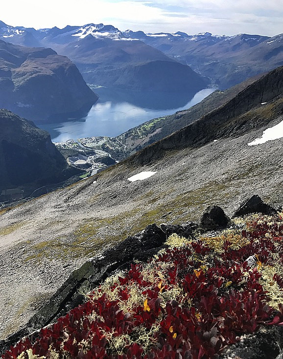 Fine høstfarger i fjellet :)
Valldal sentrum