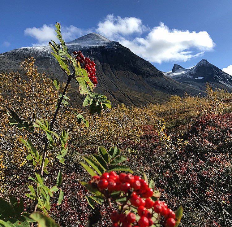 Skjorta & Litlskjorta