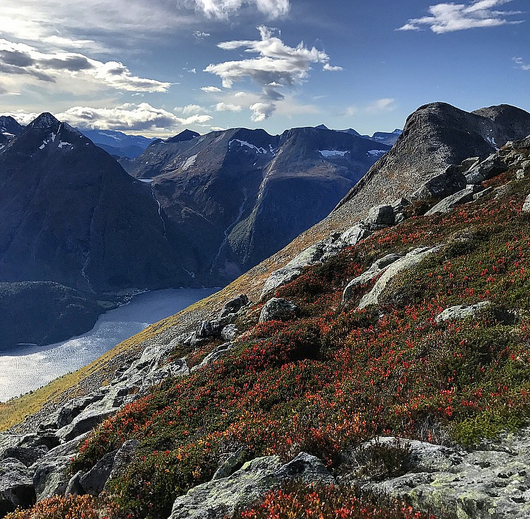 Goksøyra