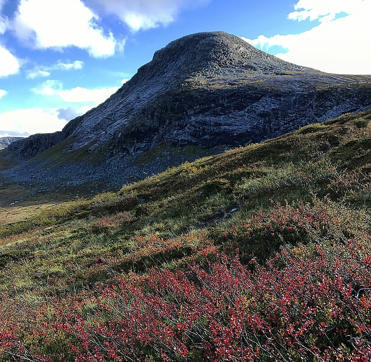 Litlfjellet