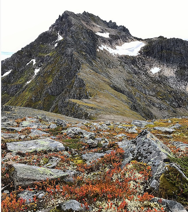 Jønshornet