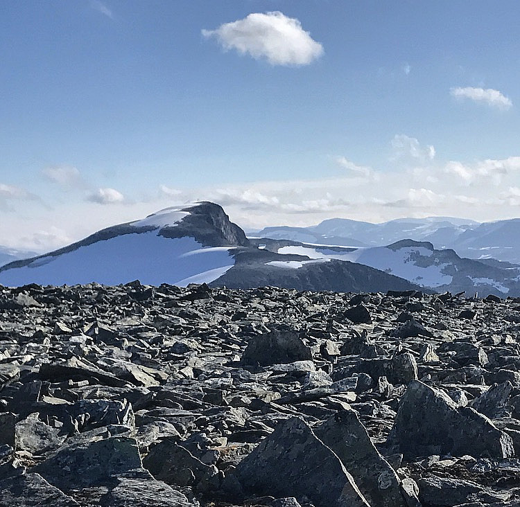 Høgstolen