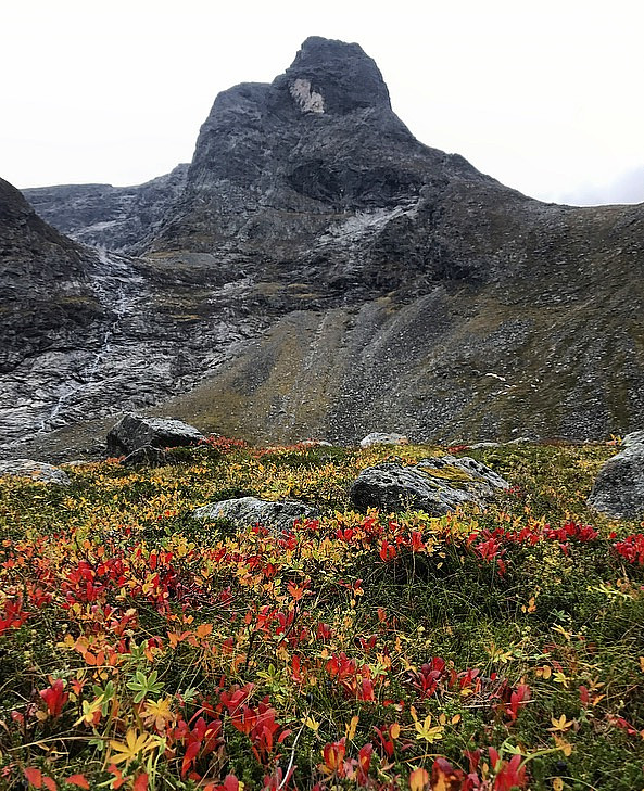 Romsdalshorn
