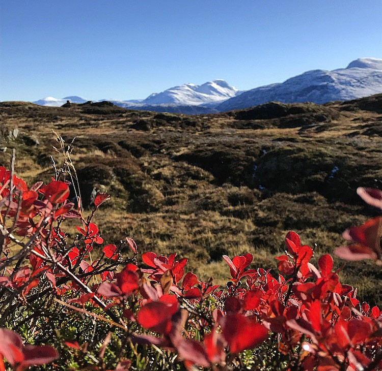 Mye snø på Snota :)