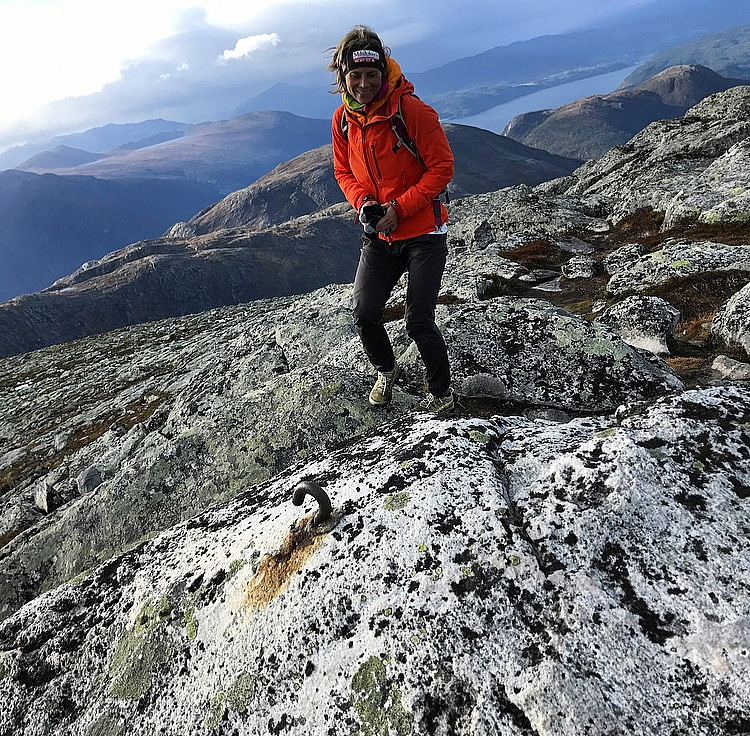 Smisetnebba