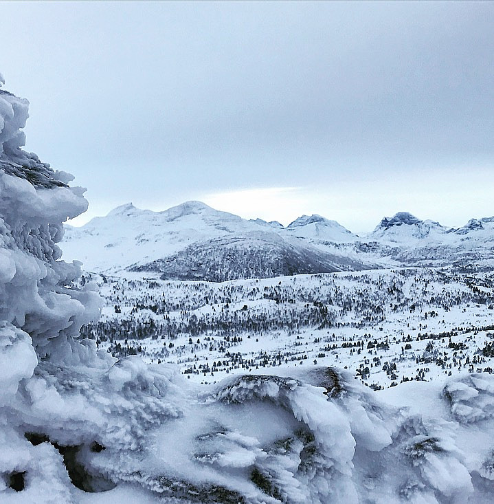 Nordviksula, Snøfjellet & Skarfjellet