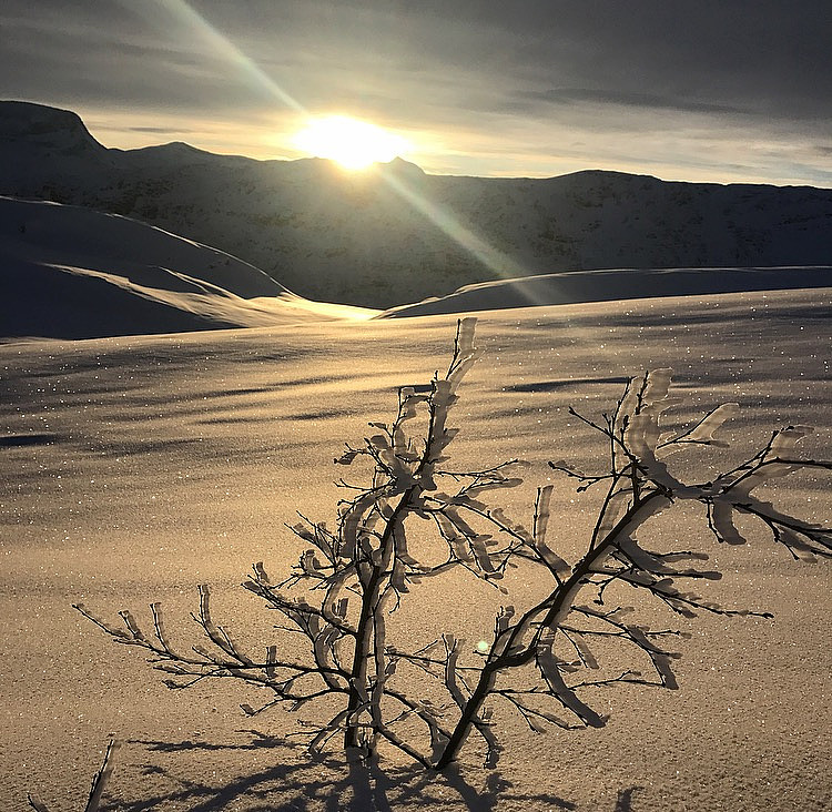 Gnistrende flott vinterdag :)
