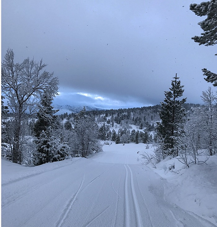 Nullføre og ceroskia fungerte bra :)