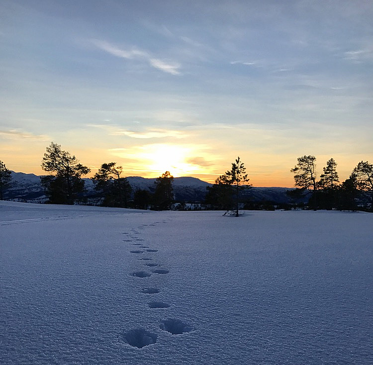Flere på tur :)