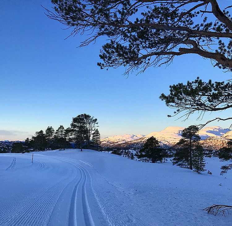 Lite som slår dette :)
