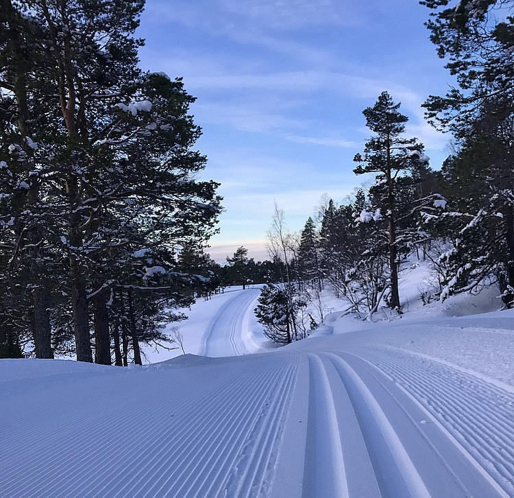 Flotte forhold :)