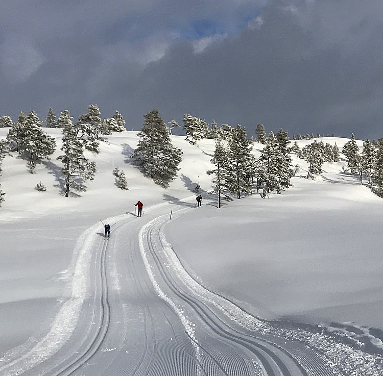 Brørs & Gausen i fint driv :)
