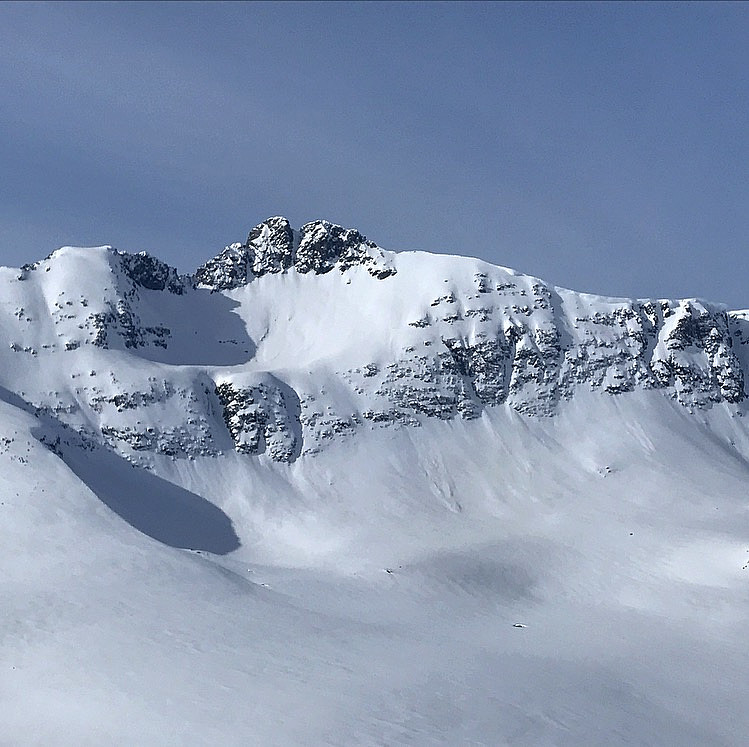 Grøvelnebba