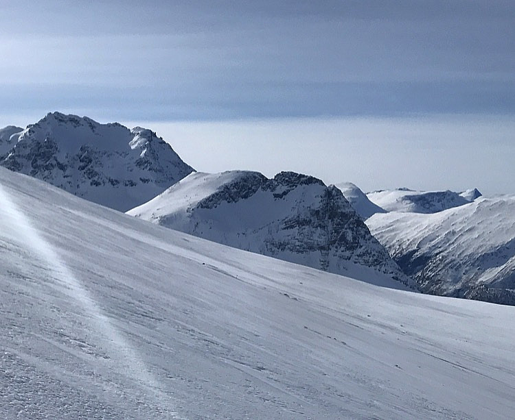 Hovsnebba - Tussdalsnebba