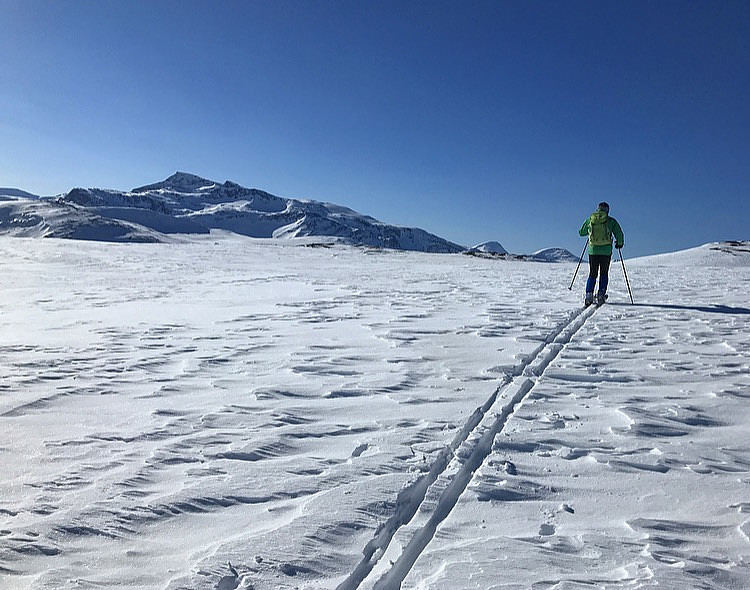 Gardfjellet 