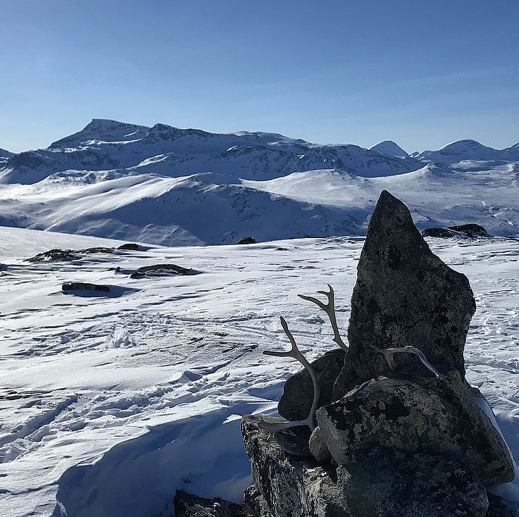 Kufjellet