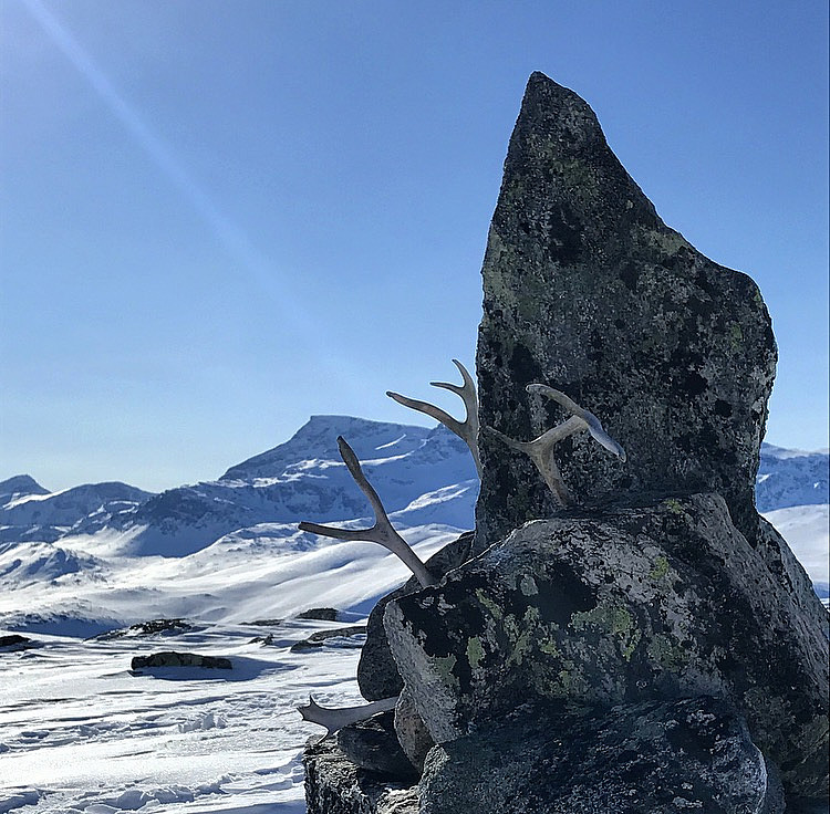 Kufjellet.
Snota