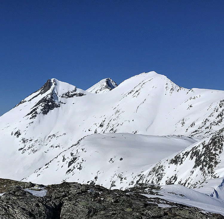 Skjorta