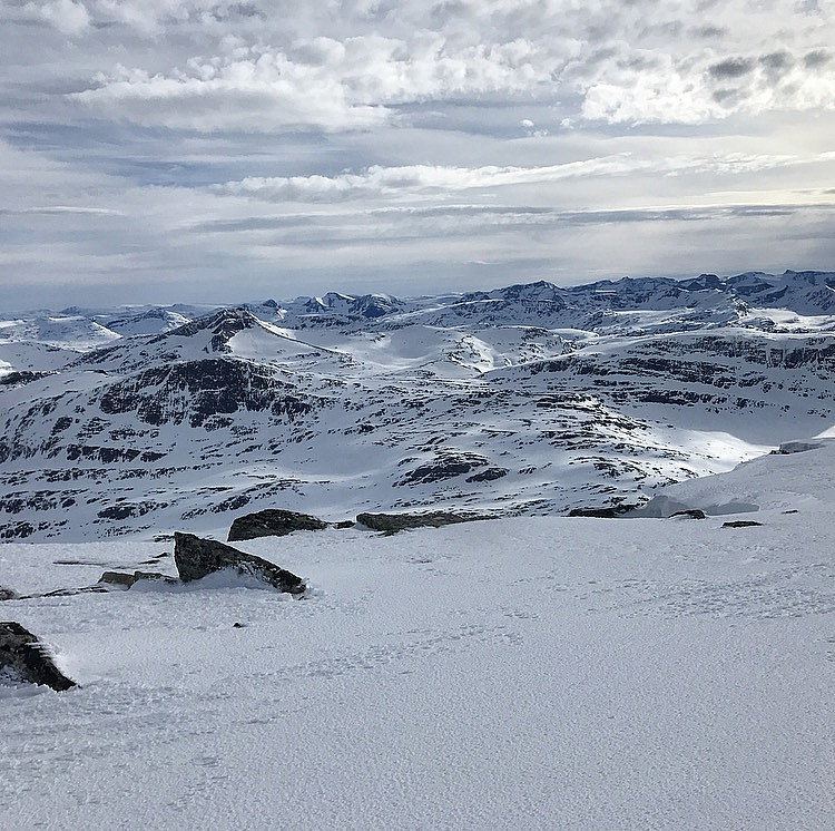 Neådalssnota