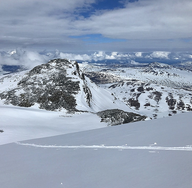 Litl-Snota