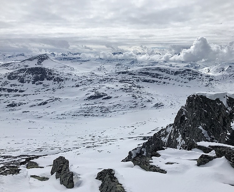 Neådalssnota