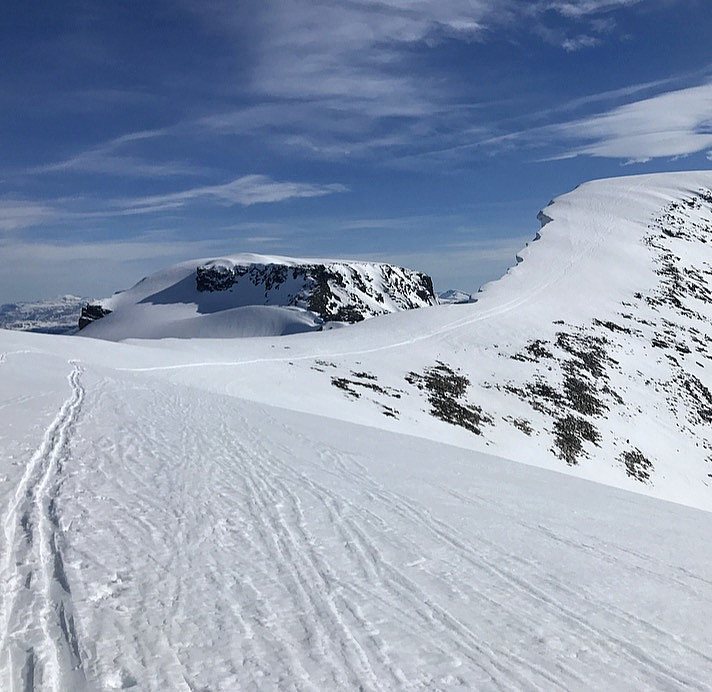 Kongen & Dronninga