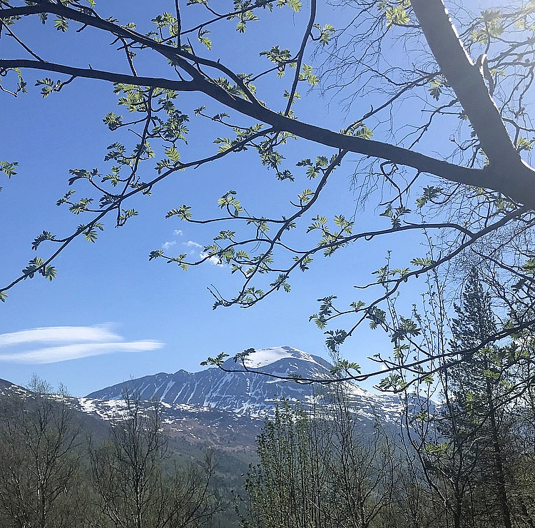 Varm og fin vårdag :)
Snøfjellet
