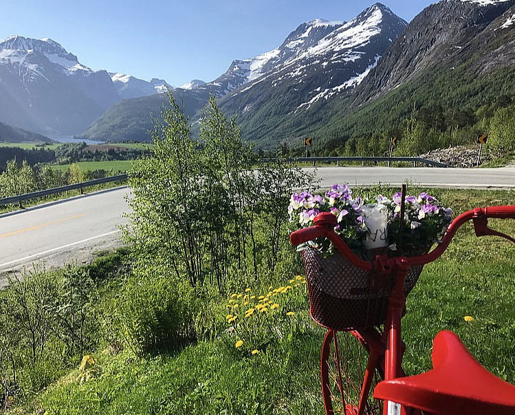 Eikesdalen og Sjøvdøla til høyre :)