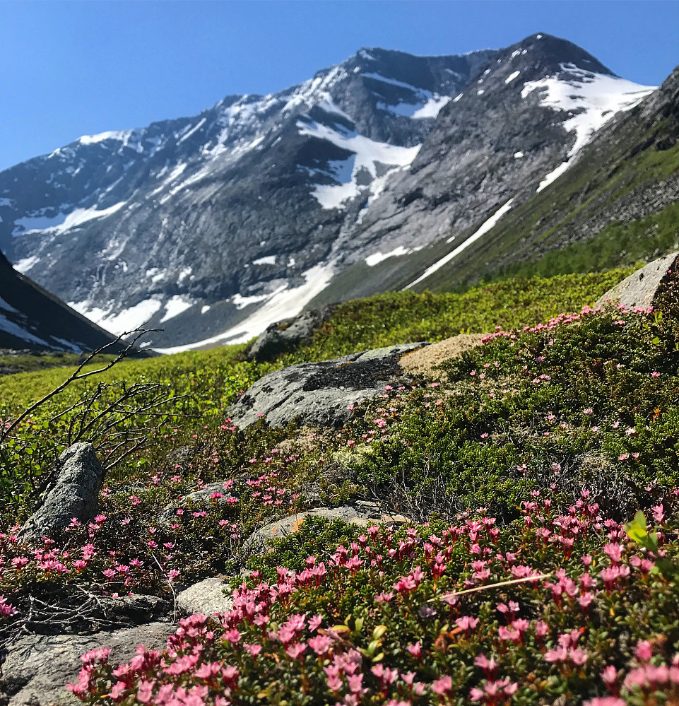 Hareimsdalen og Storkalken
