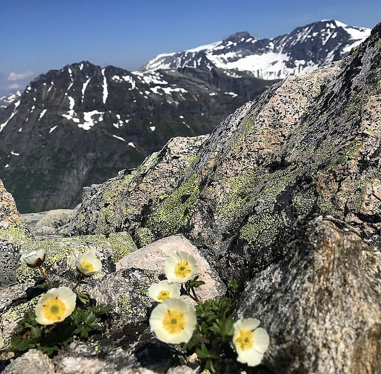 På Litlkalken (1405 moh )
Hovsnebba, Dronningkrona & Kongskrona.
Issoleie