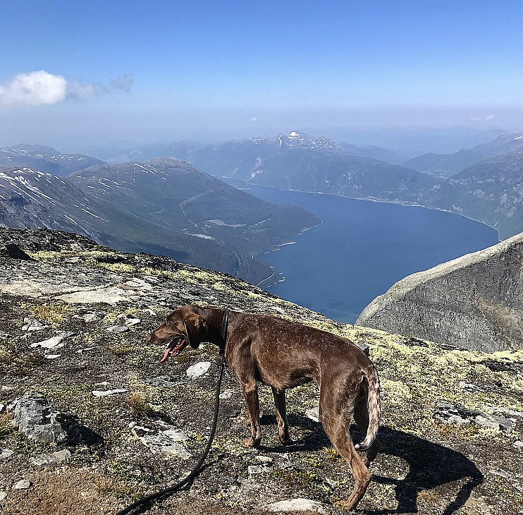 Porche :)
På Hårstadnebba