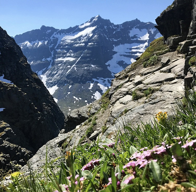 Mektige Trolla :)
Fjellsmelle.