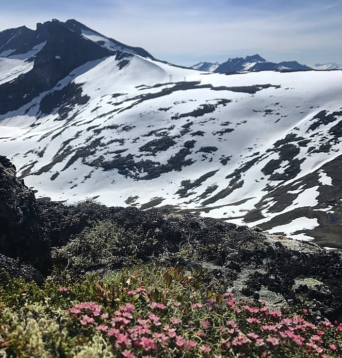 Sandfjellet