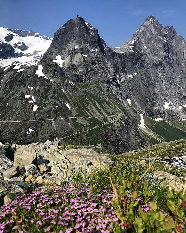 Bispen & Kongen