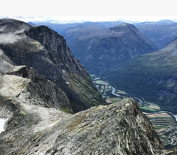 Hoåsnebba